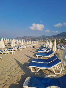 Kleopatra Beach Yildiz - 10