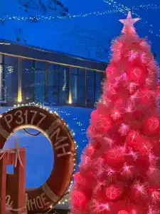 Cedar Grass Териберка - 54