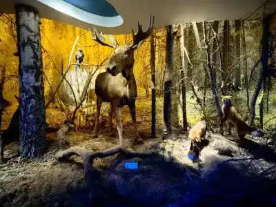 Каменюки - 13