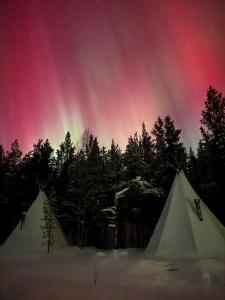 Глэмпинг Гиперборея - 37