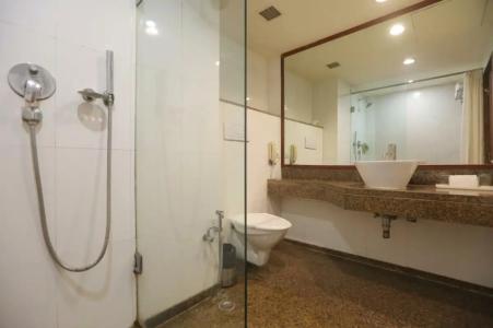 Vesta Maurya Palace - 80