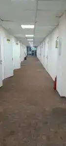 Центральная Вертикаль - 31