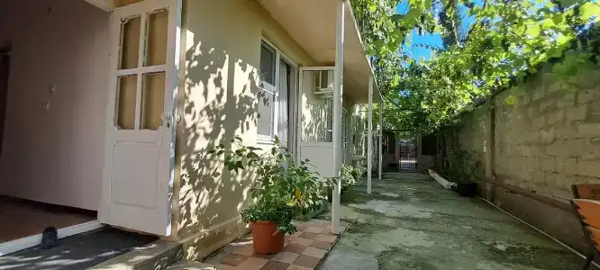 Виноградная Лоза - 3