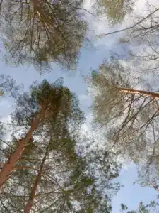 Солнечный - 44