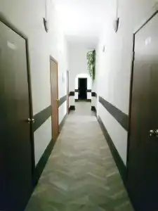 Звезда - 7