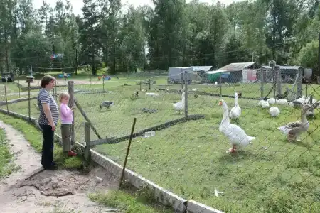 База на Вуоксе - 26