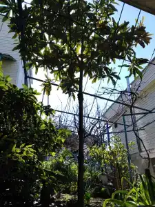 ТепЛоо - 19