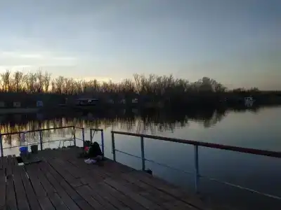 Бодрость - 97