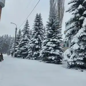 Санаторий-профилакторий Ольховка - 6