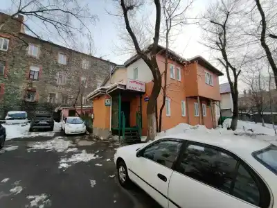 Каштан - 21