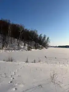 Бишкурай - 20