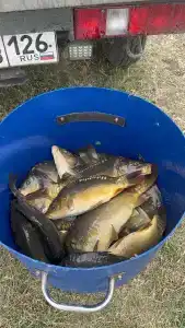 Широкая балка - 79