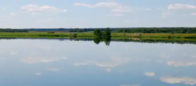 Бузим Красноярск - 28
