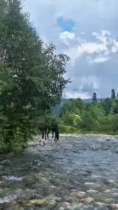Фишт - 49