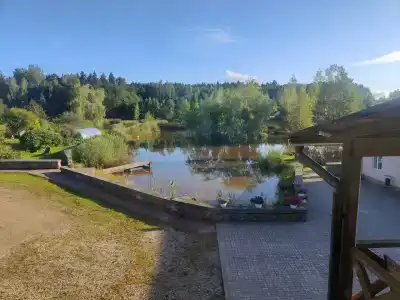 Ставы - 33