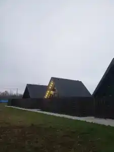 Страусы Биляра - 49