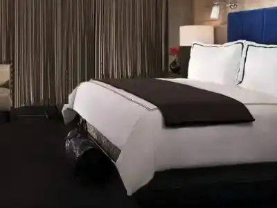 ARIA Resort & Casino - 24