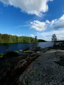 Васильево - 21