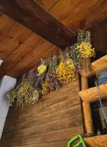 Наусть - 15