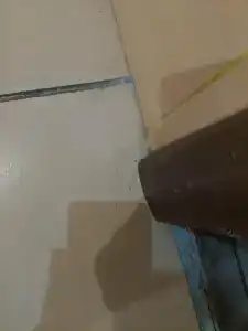 Шатура Холл - 65