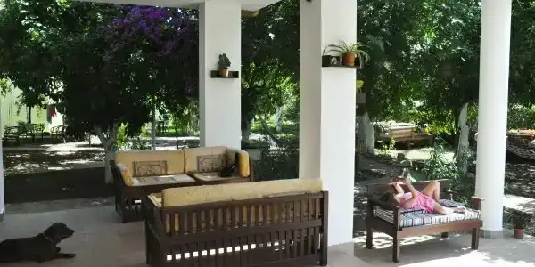 San Simon - 45