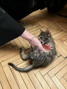 Корюшка Пошла - 7