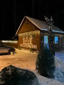 Лесотерапия - 36