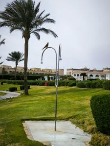 Old Palace Resort Sahl Hasheesh - 96