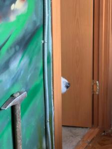 Акка Книбекайзе - 58