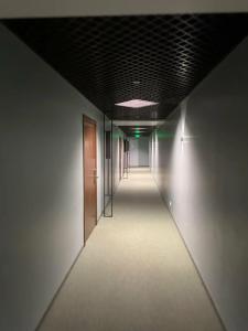 Sunflower by Zont - 73