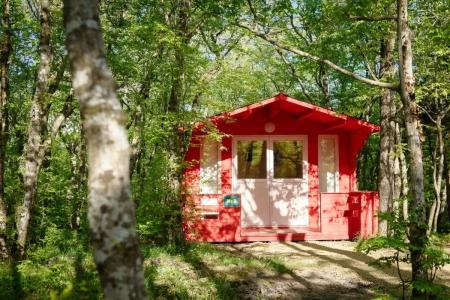 Эколоджия - 12