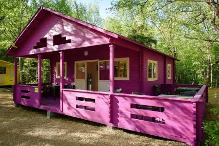 Эколоджия - 14