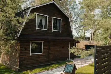 Магия леса - 29