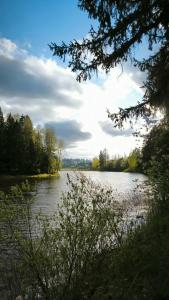 Лукино-Парк - 26