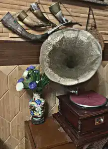 Эдельвейс - 7
