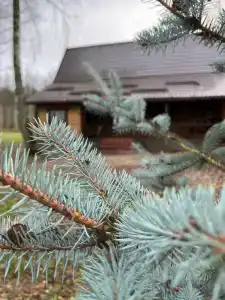 Серебряный Ключ - 25