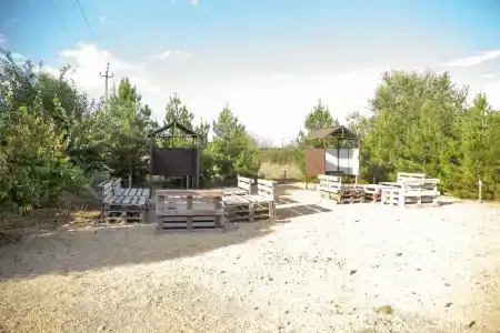 Кипарис - 31