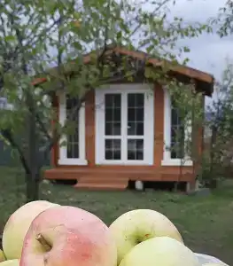 Дом Жар-Птицы - 35