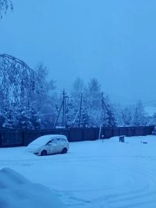 Терем - 39