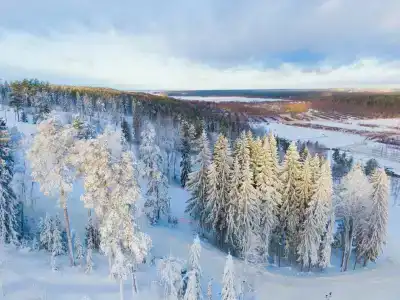 SMART на Горе - 1