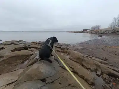 Гостевой дом у Белого моря - 42