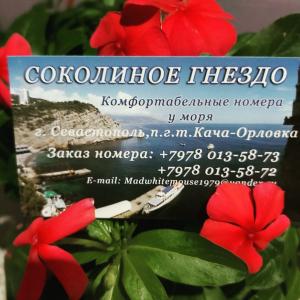 Соколиное гнездо - 4