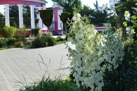 Искра - 42