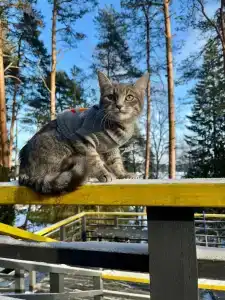 Я на Базе - 7