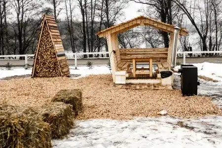 Петровское озеро - 5