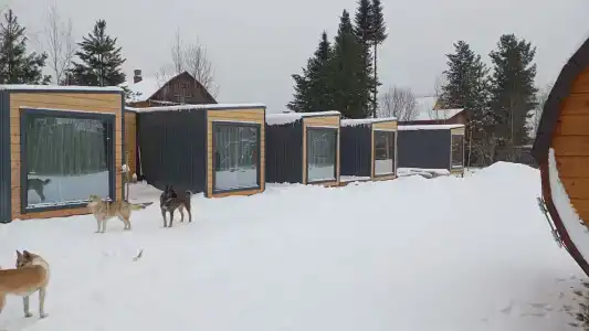 Тайга - 0