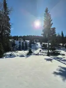 На паузе - 85