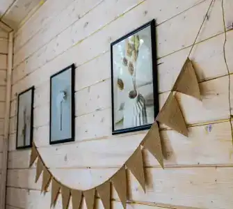 Сосны. Пространствие - 20