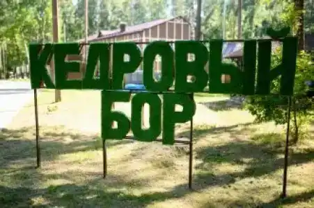 Кедровый Бор - 17
