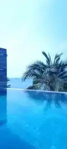 Sea Sense Resort - 33